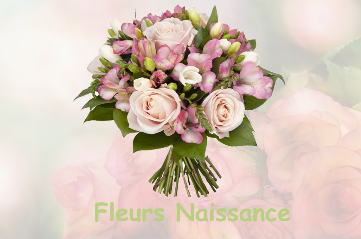 fleurs naissance PUJO-LE-PLAN