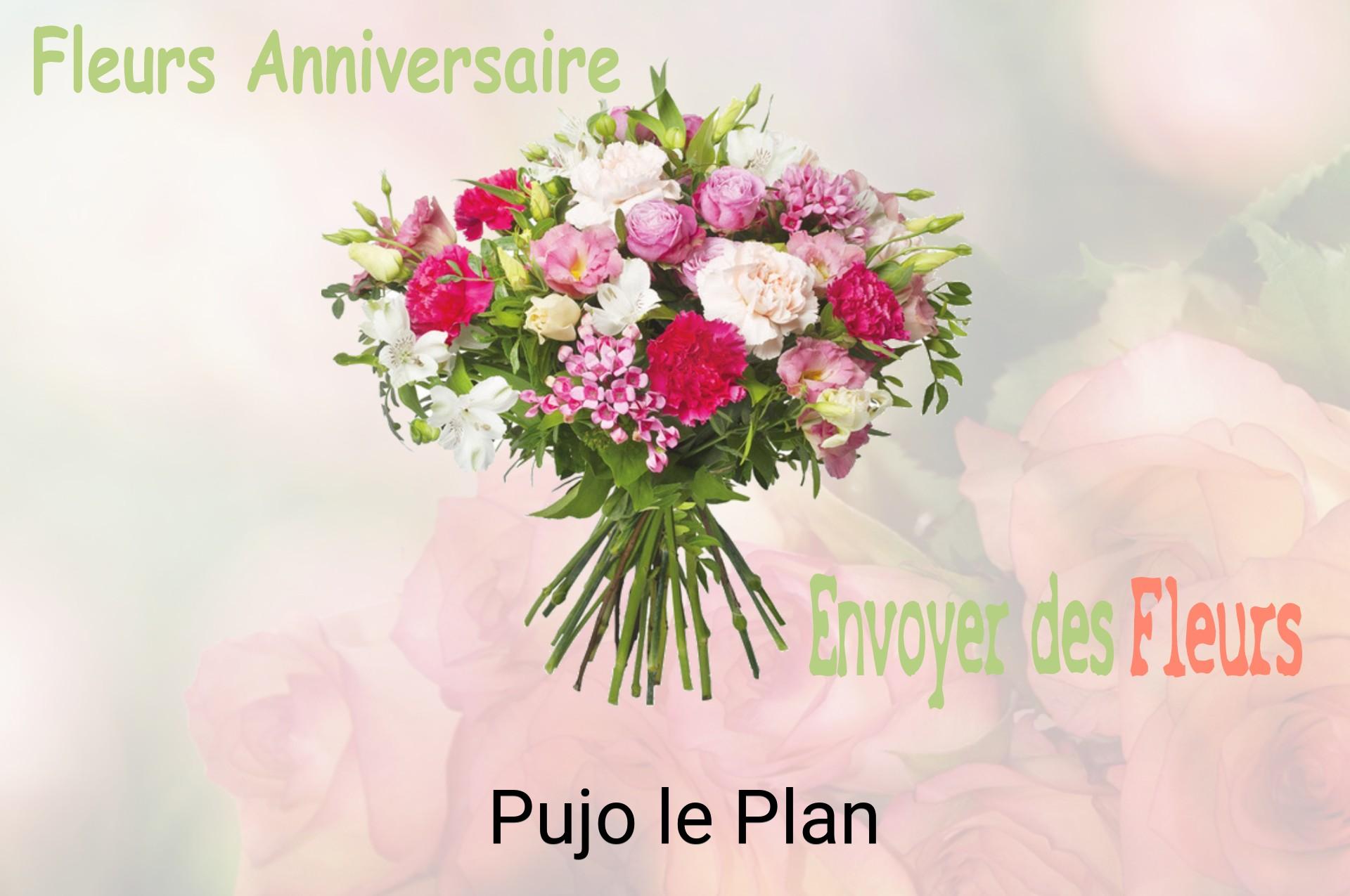 Bouquet de fleurs d’anniversaire livré à Pujo-le-Plan