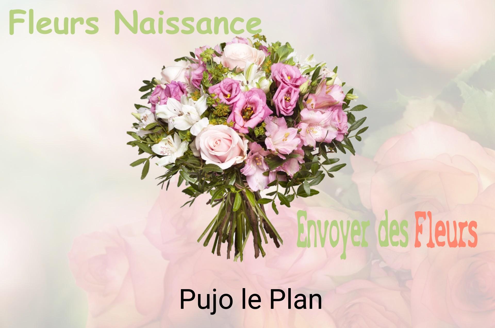 Bouquet de fleurs de naissance livré à Pujo-le-Plan