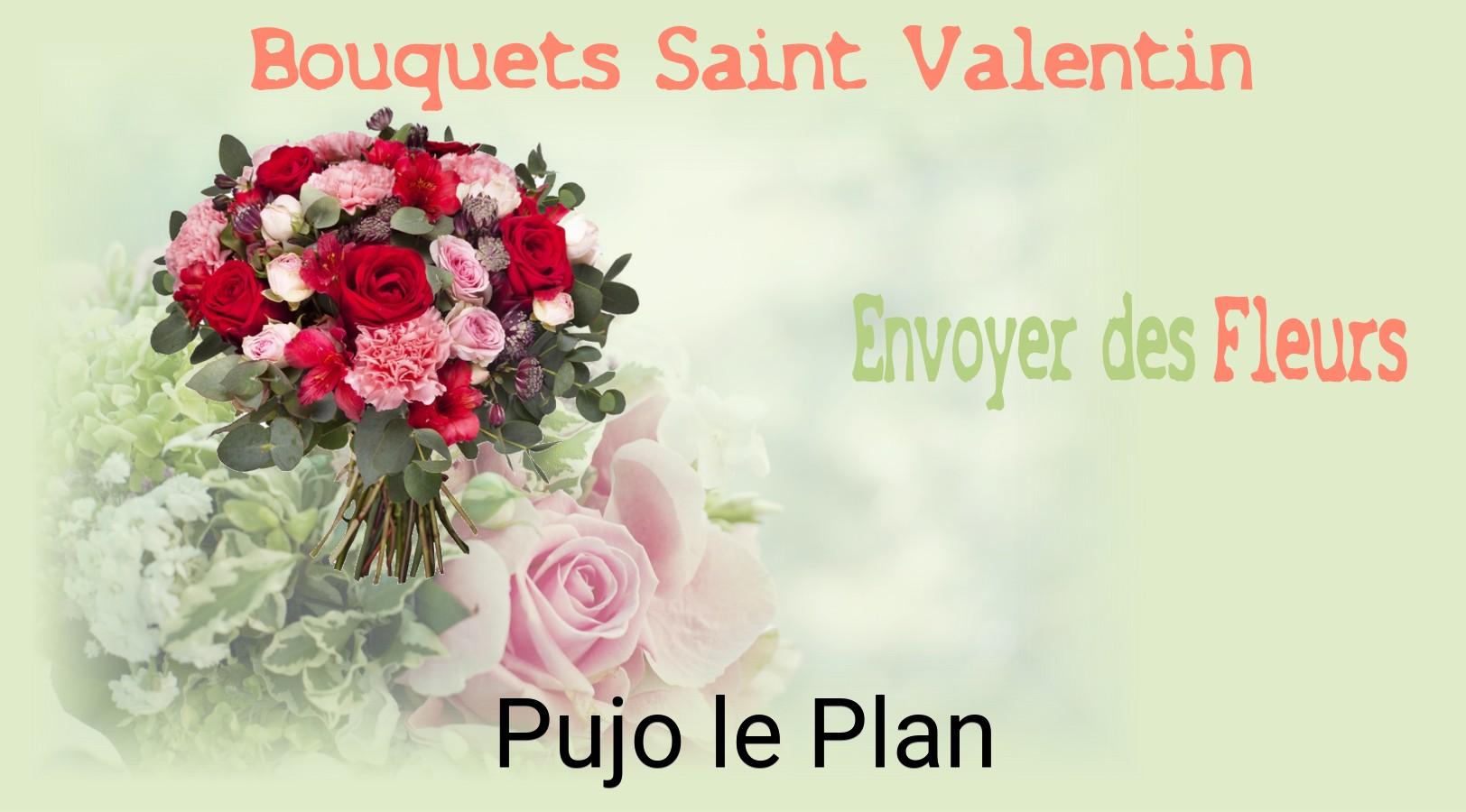 Roses de Saint-Valentin livrées à Pujo-le-Plan