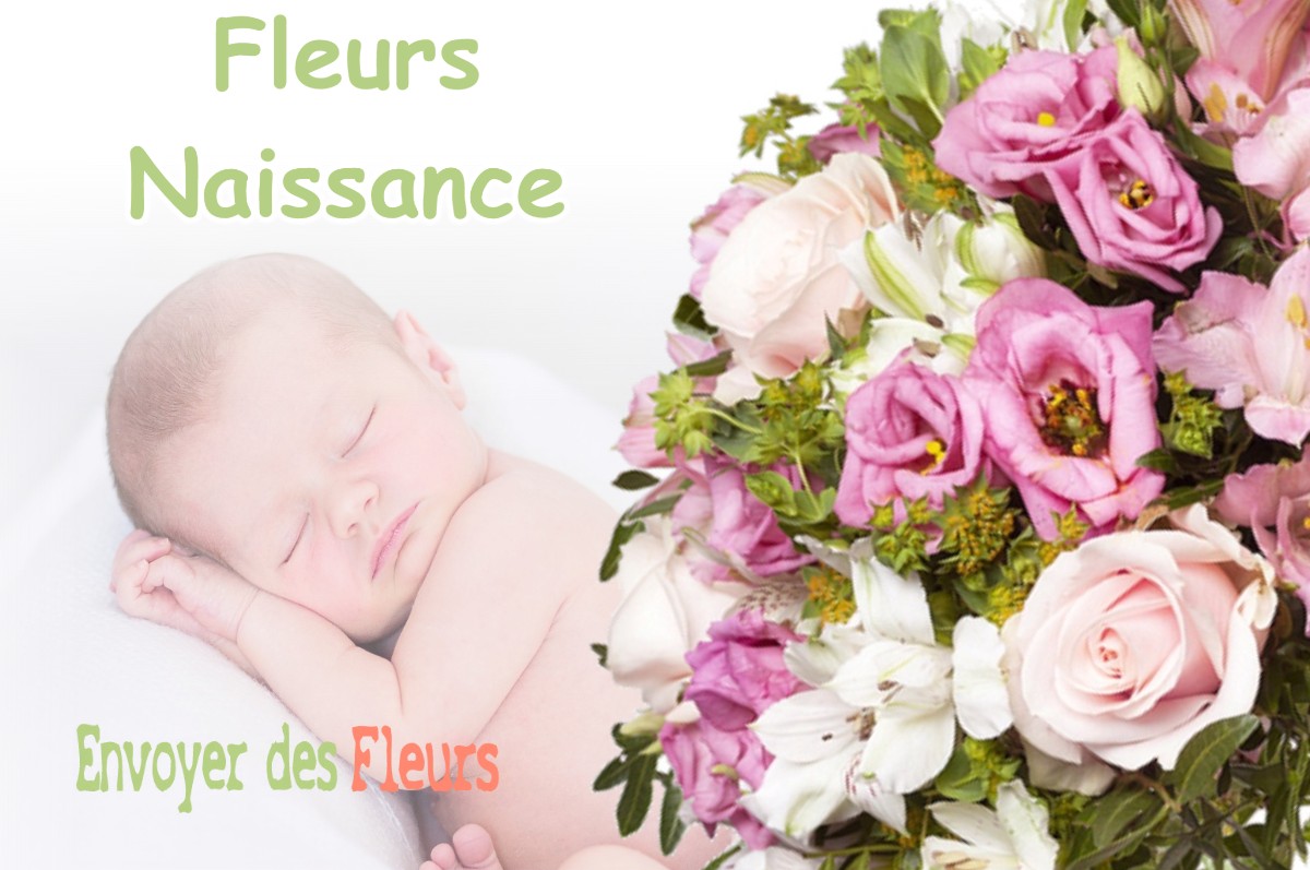 lIVRAISON FLEURS NAISSANCE à PUJO-LE-PLAN