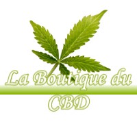 LA BOUTIQUE DU CBD PUJO-LE-PLAN 