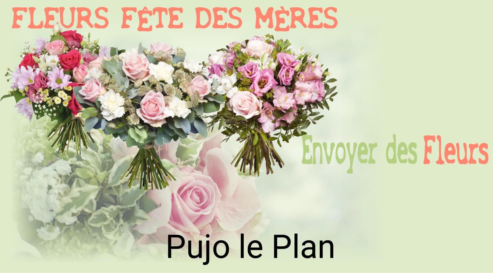 Bouquet de Fête des Mères livré à Pujo-le-Plan